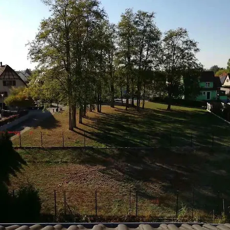 Les Cerises Entre Strasbourg Et Haguenau * Bischwiller